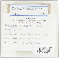 Image Associated With the Occurrence