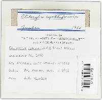 Image Associated With the Occurrence