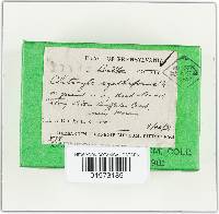 Image Associated With the Occurrence