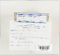 Image Associated With the Occurrence