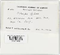 Image Associated With the Occurrence