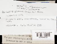 Thumbnail image of current specimen