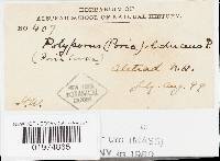 Image Associated With the Occurrence