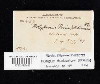 Image Associated With the Occurrence