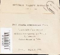 Image Associated With the Occurrence