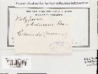 Image Associated With the Occurrence