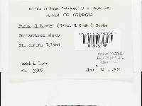 Pachykytospora alabamae image