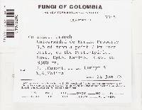 Image Associated With the Occurrence