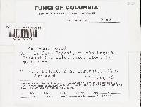 Image Associated With the Occurrence