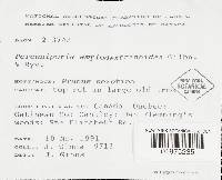 Media resource of Perenniporia amylodextrinoidea