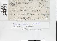 Media resource of Perenniporia compacta