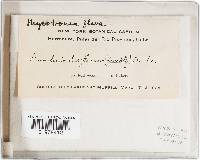 Image Associated With the Occurrence