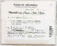 Image Associated With the Occurrence