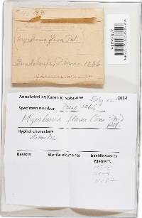 Image Associated With the Occurrence