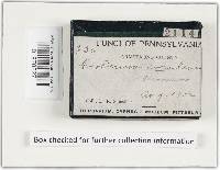 Thumbnail image of current specimen