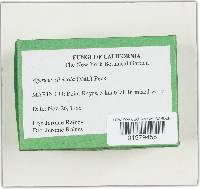 Agaricus silvicola image