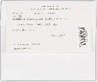 Thumbnail image of current specimen