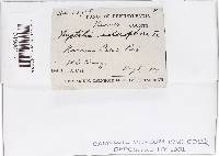 Image Associated With the Occurrence