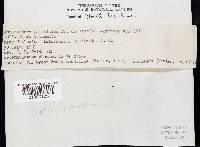 Image Associated With the Occurrence