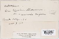 Image Associated With the Occurrence