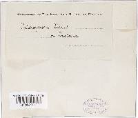 Image Associated With the Occurrence