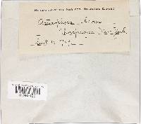 Image Associated With the Occurrence