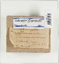 Image Associated With the Occurrence