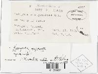 Image Associated With the Occurrence