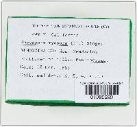 Image Associated With the Occurrence