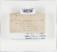 Thumbnail image of current specimen