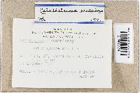 Image Associated With the Occurrence