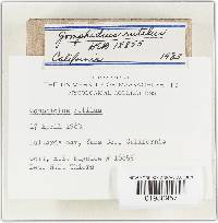 Image Associated With the Occurrence