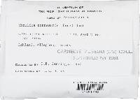 Image Associated With the Occurrence