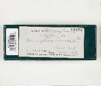 Peniophora cinerea image