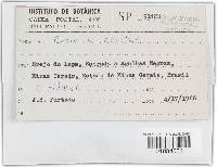 Trametes ochracea image