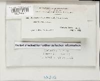 Image Associated With the Occurrence