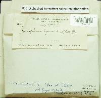 Image Associated With the Occurrence