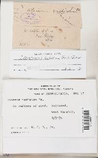 Image Associated With the Occurrence