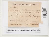 Botryobasidium vagum image