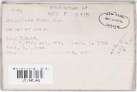 Media resource of Peniophora firma