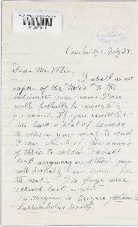 Thelephora palmata image