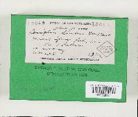 Image Associated With the Occurrence