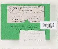 Image Associated With the Occurrence