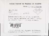 Image Associated With the Occurrence