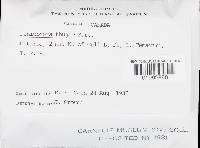 Image Associated With the Occurrence