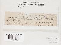 Image Associated With the Occurrence