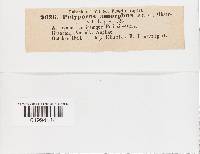 Image Associated With the Occurrence