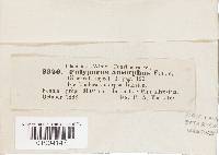 Image Associated With the Occurrence