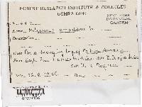 Image Associated With the Occurrence