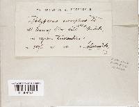 Image Associated With the Occurrence